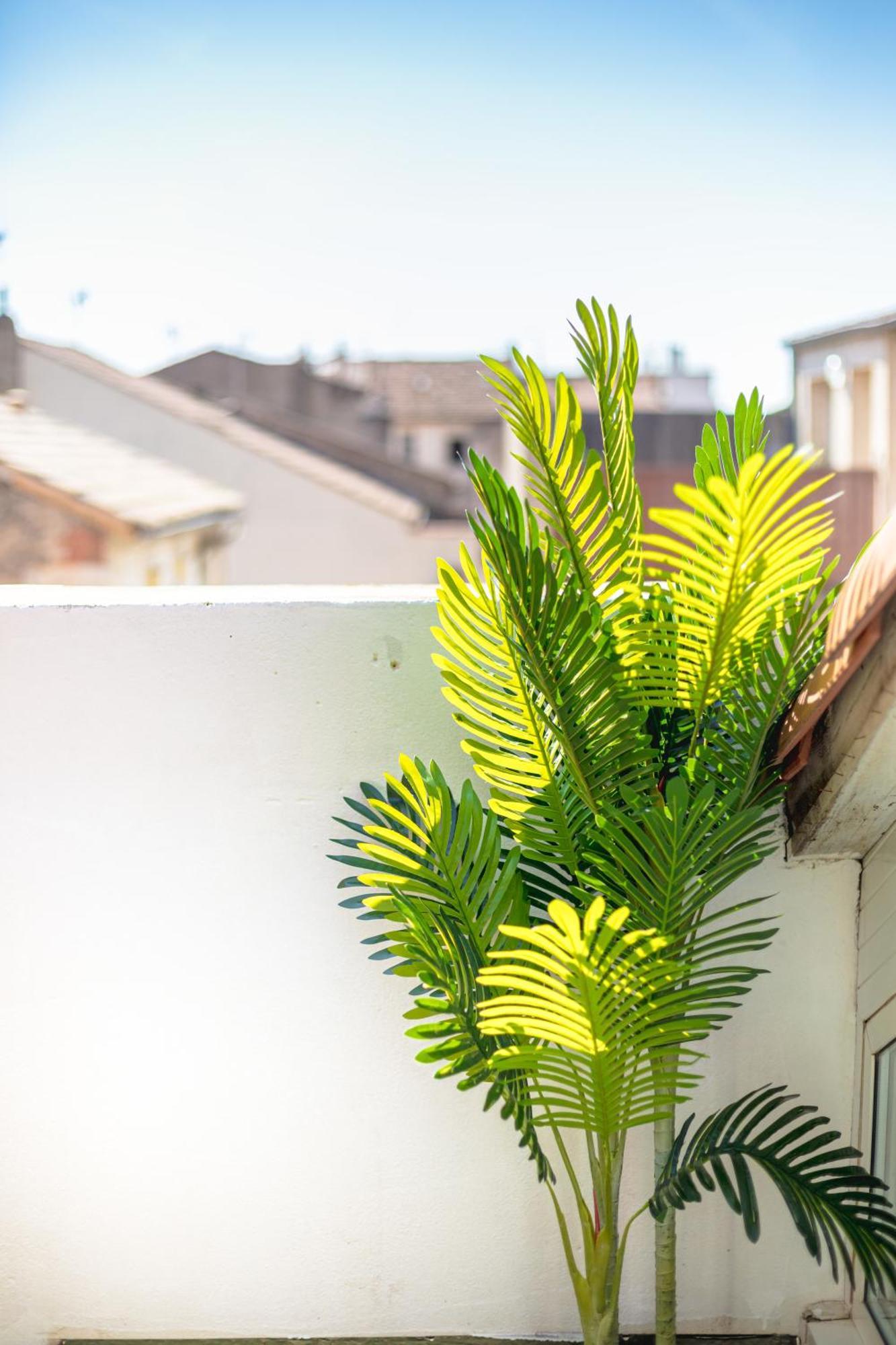 Le Albert 1Er Beziers Appartements Tout Equipes Dış mekan fotoğraf