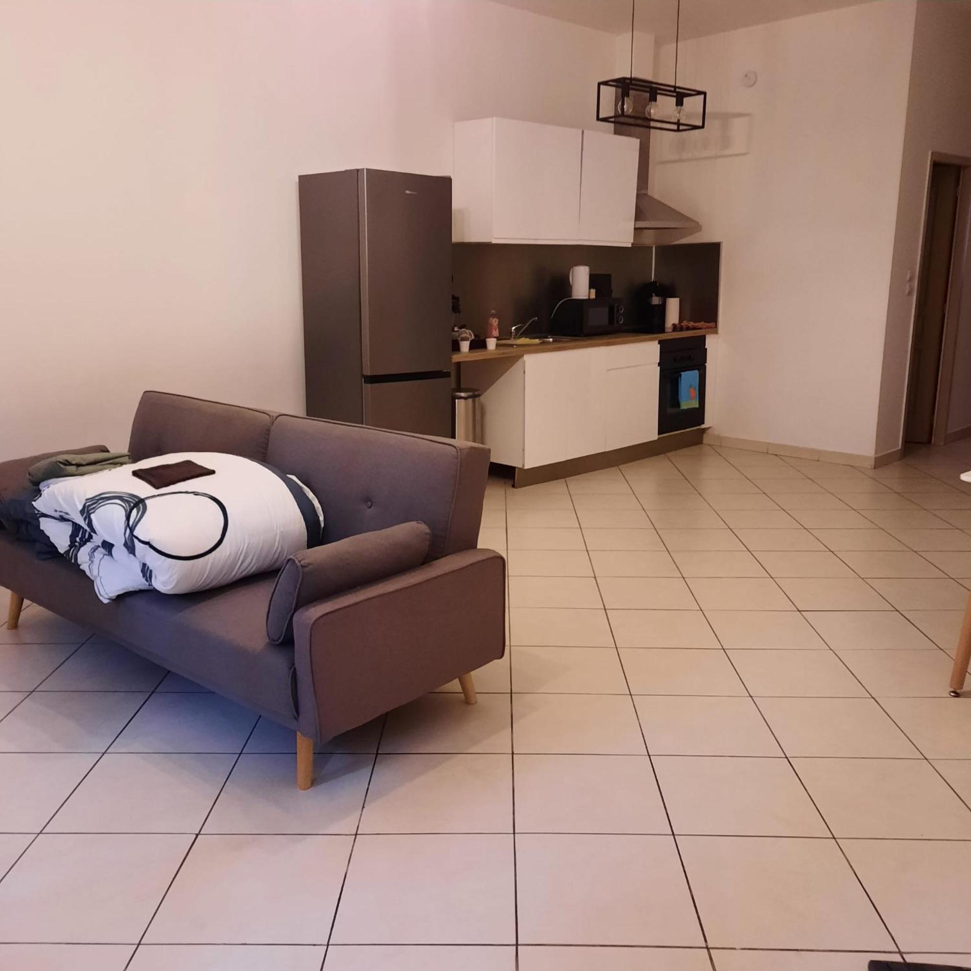 Le Albert 1Er Beziers Appartements Tout Equipes Dış mekan fotoğraf